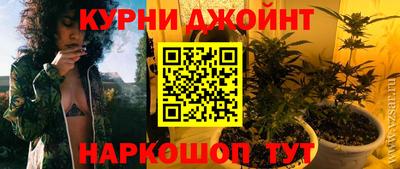 гидра Гусев