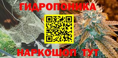 гидра Гусев