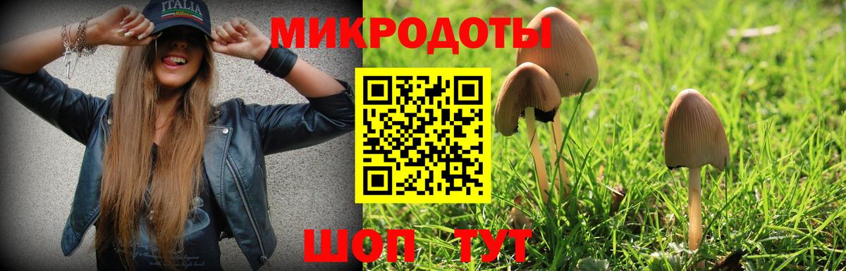 Галлюциногенные грибы прущие грибы Кемерово